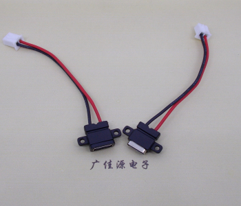 防水type c2p母座注塑成型带双螺丝孔带线带接线端子单充电功能