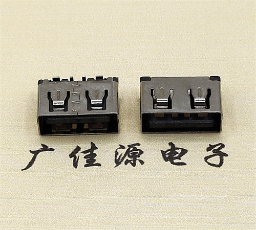 USB 2.0ĸ